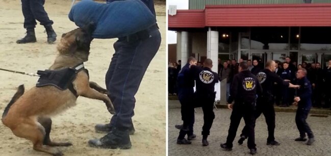 Le 1er Congrès National de la Police Territoriale a connu un vrai succès Le 1er Congrès National de la Police Territoriale a connu un vrai succès